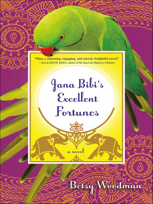 cover image of Jana Bibi's Excellent Fortunes